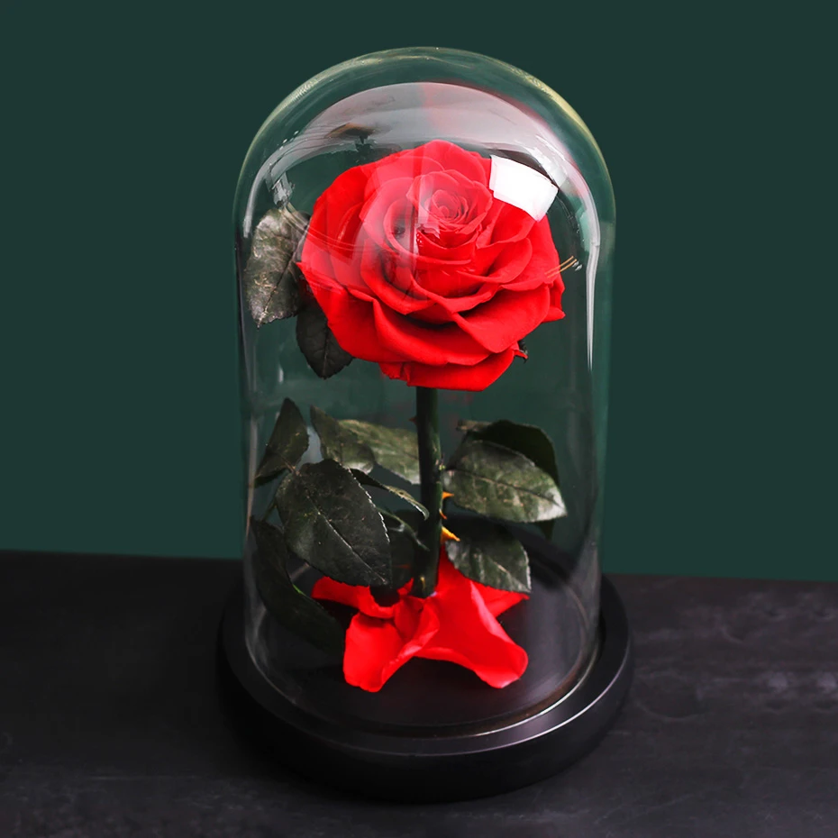 Naujas vestuvių Grožio Ir Žvėrys, Raudona Rožė Kolbą Stiklo Kupolas Valentino Dienos dovana, Namų Stalo Apdailos Amžinos Gėlės