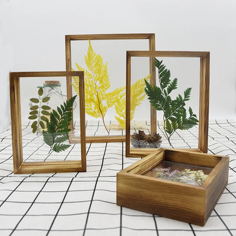 Medinis Nuotraukų Rėmelis Kūrybos Augalų Egzemplioriams, Dvipusis organinio Stiklo nuotraukų Rėmelis 