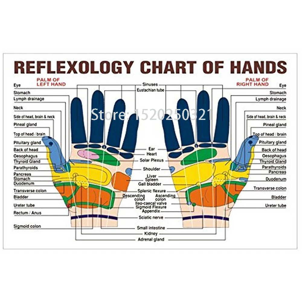 80pcs/daug Piršto Massager Žiedas Vertus, Refleksologijos masažas, Akupunktūra Žiedas Skausmo Terapija, Masažas, rankų masažas