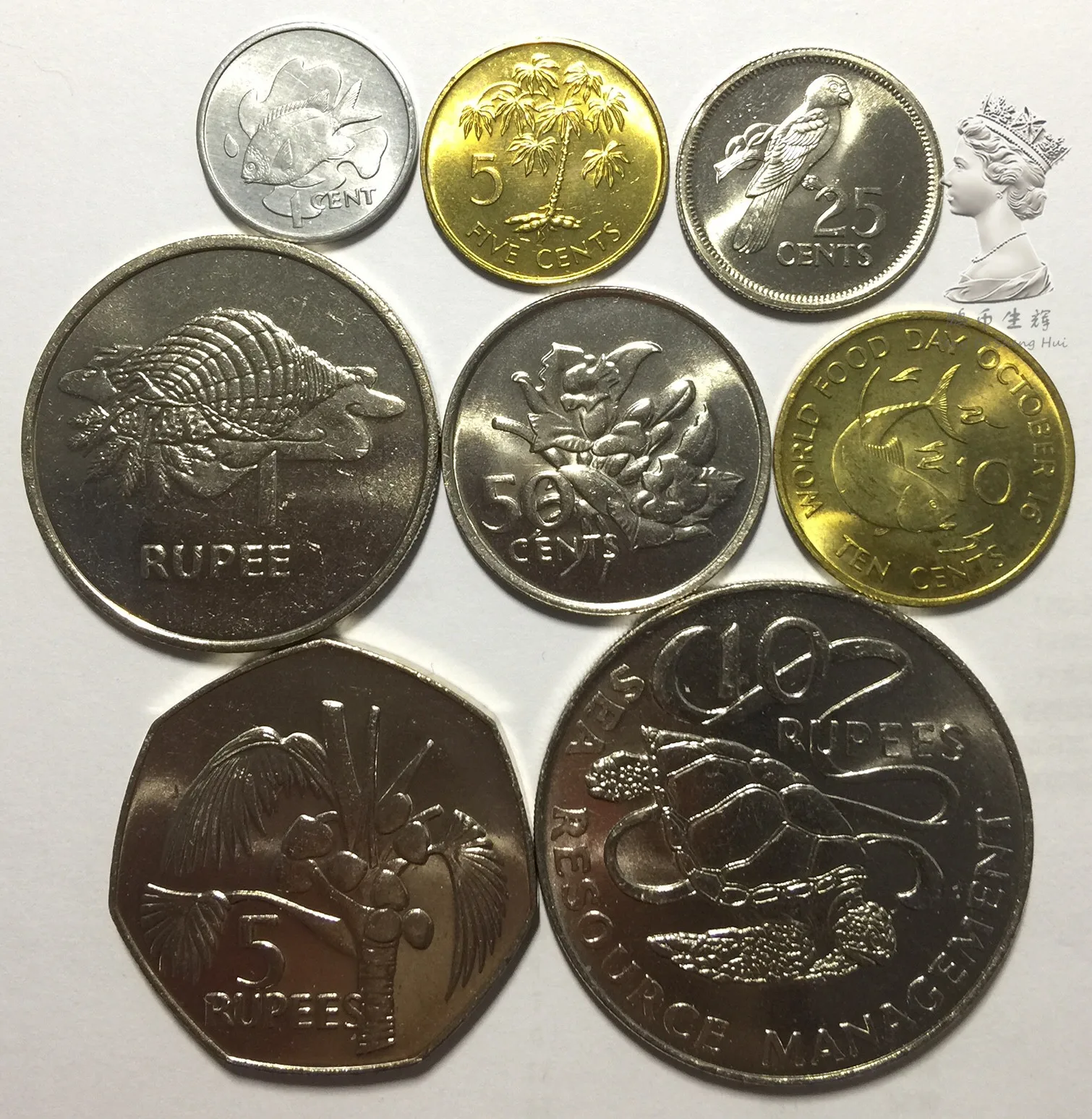 Eurų monetos sukelia odos ligas
