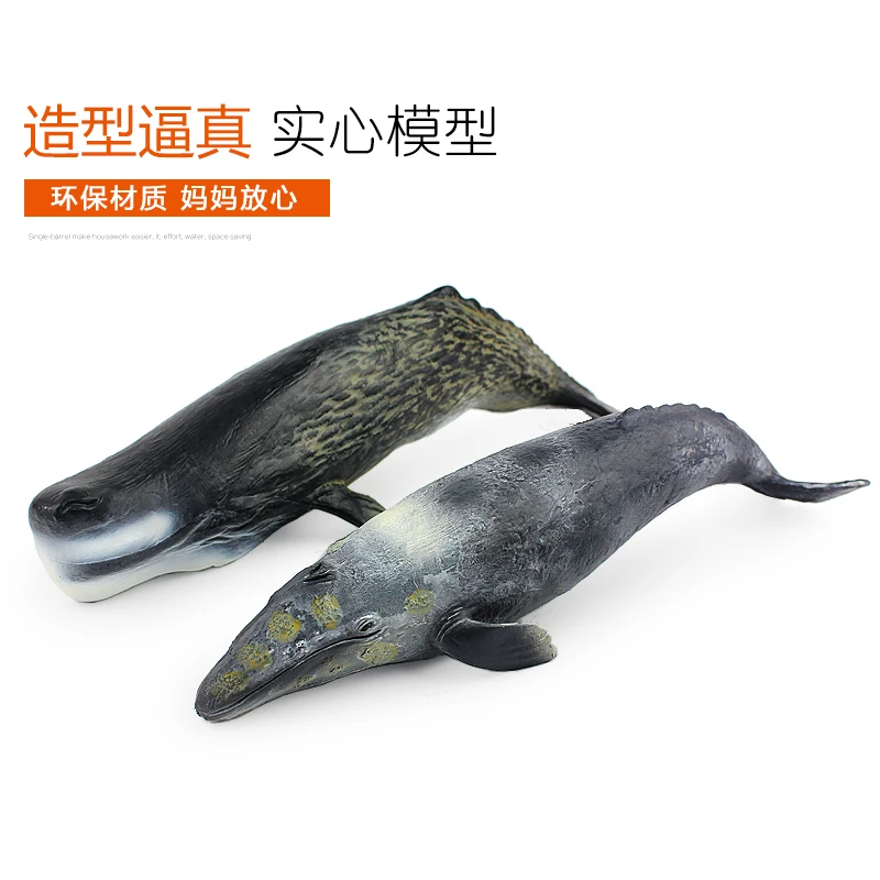 Modeliavimo Omaras Vėžlys jūrų vėplio Delfinų 