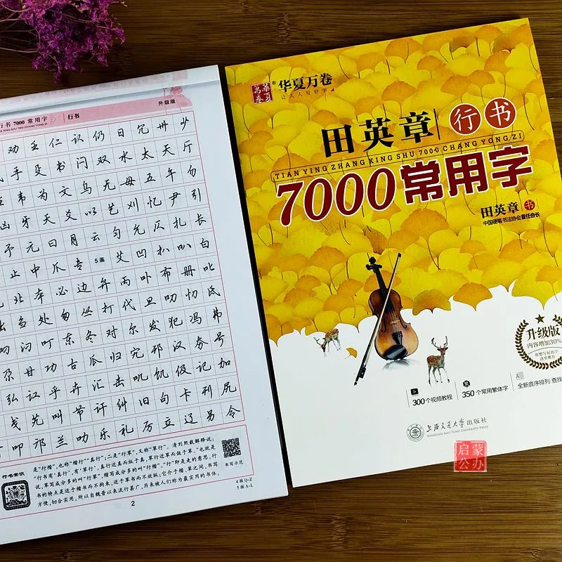 2vnt/Komplektas Kinijos Copybook Pen Ka Shu Xing Shu 7000 Bendrų Kinų Simbolių Copybook Studentų Suaugusiųjų Copybook
