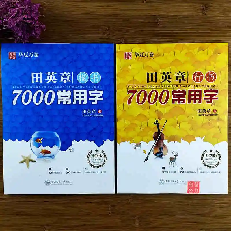 2vnt/Komplektas Kinijos Copybook Pen Ka Shu Xing Shu 7000 Bendrų Kinų Simbolių Copybook Studentų Suaugusiųjų Copybook
