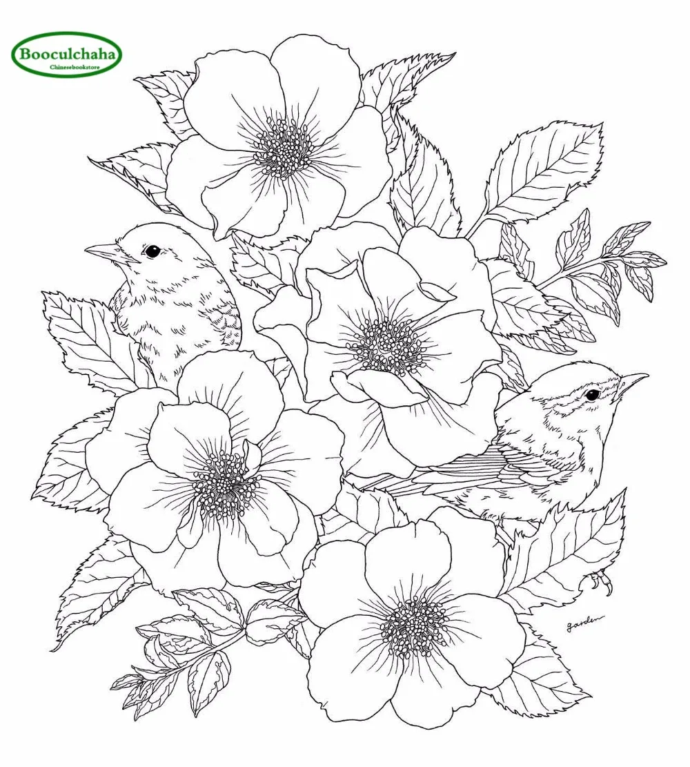 Sodo Spalvinimo Knygelė gėlių, paukščių anti-stresas, spalvinimo knygų suaugusiems -96 puslapius
