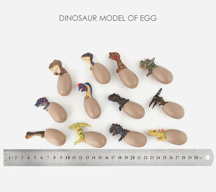3D Biologijos Surinkti Dinozaurų kiaušinių Nustatyti Mokslo Imitavimo Modelį PVC Mokslo Pažinimo Mokymosi Surinkimo Žaislai Vaikams Dovanų 12PC