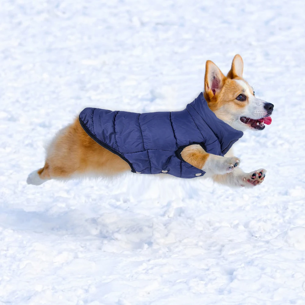 Žiemos augintinio kailio drabužiai šunims, Žieminiai drabužiai, Šiltas Šunų drabužius mažiems šunims Kalėdų didelis šuo kailis Žiemos drabužių čihuahua