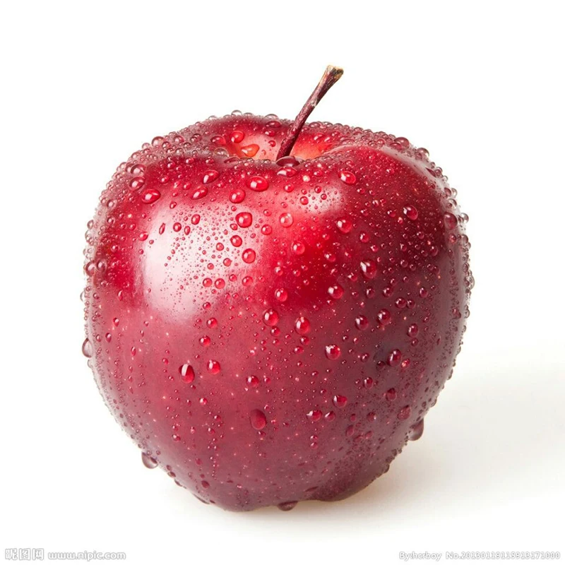 Natūralių Fermentuotų Obuolių Polifenolių Obuolių Sidro Acto Milteliai, 35% Acto Rūgštis antioksidantas, Svorio Aukščiausios Kokybės