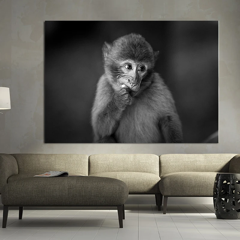 Didelis Gyvūnų Nuotraukos Drobės Spausdintos Tapyba, Modernus Juokinga Valgyti bananų Beždžionė su Ausinių Sienos Meno Plakatas Kambarį